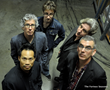 The Furious Seasons release "My Love is Strong" on...