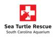 Mark Your Calendar, the First Sea Turtle Release of the Season is Set!