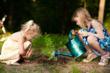 Wisconsin Casket Builder Launches Statewide Tree Planting Initiative