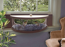 bird feeder for your window