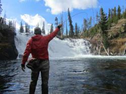 Yellowstone Park Fly Fishing