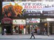 Number of Bed Bug Complaints Drops in New York, BedBugBully.com Points...