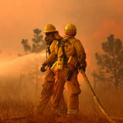 Wildland Fire Equipment