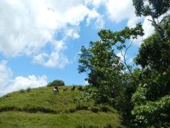 Horseback Riding Costa Rica Vacations