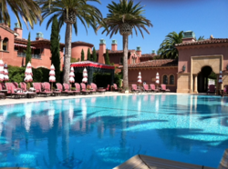 swimming pool purification, "puripool process"