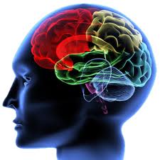 Neurology Sciences @ ScienceIndex.com
