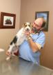 Jacksonville Veterinarian Cautions that the Recent Warm Winter and...
