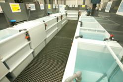 Litron's Gold Plating Line
