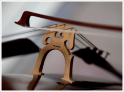 Violin Shop, Los Angeles, Benning Violins, Studio City