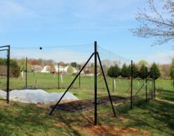 Protecting Your Vegetable Garden is Easy with a Deer Fence