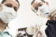 Victory Dental Brings Air Abrasion to Boise, Idaho as an Alternative...