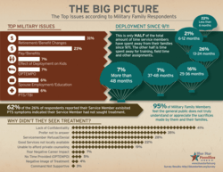 Infographic of key issues identified by Blue Star Families' 2012 Military Family Lifestyle Survey.