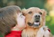 Online Shopping Giant MyReviewsNow.net Adds New Pet Products Portal to...