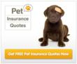 Get Pet Insurance Quotes On Your Smart Phone Or Tablet