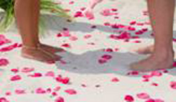 Beach Weddings, Destination Weddings, Outdoor Wedding Ceremonies, Wedding Packages, Wedding Spots, Weekday Wedding