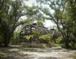 Charity Navigator Awards Center for Great Apes the Prestigious Four...