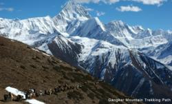 Minyak Gangkar trekking