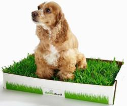 grass wee wee pads for dogs