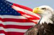 American Diabetes Wholesale to Offer 12% Discount Off All Orders...