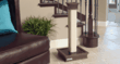 Five Pet Place Unveils Luxury Brand; Extensive Collection of Designer...
