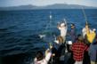 Banner Season Forecast for Charter Fishing out of Ilwaco, on Southwest...
