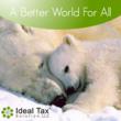 Ideal Tax Solution, LLC Is Closely Following Efforts To Curb Identity...