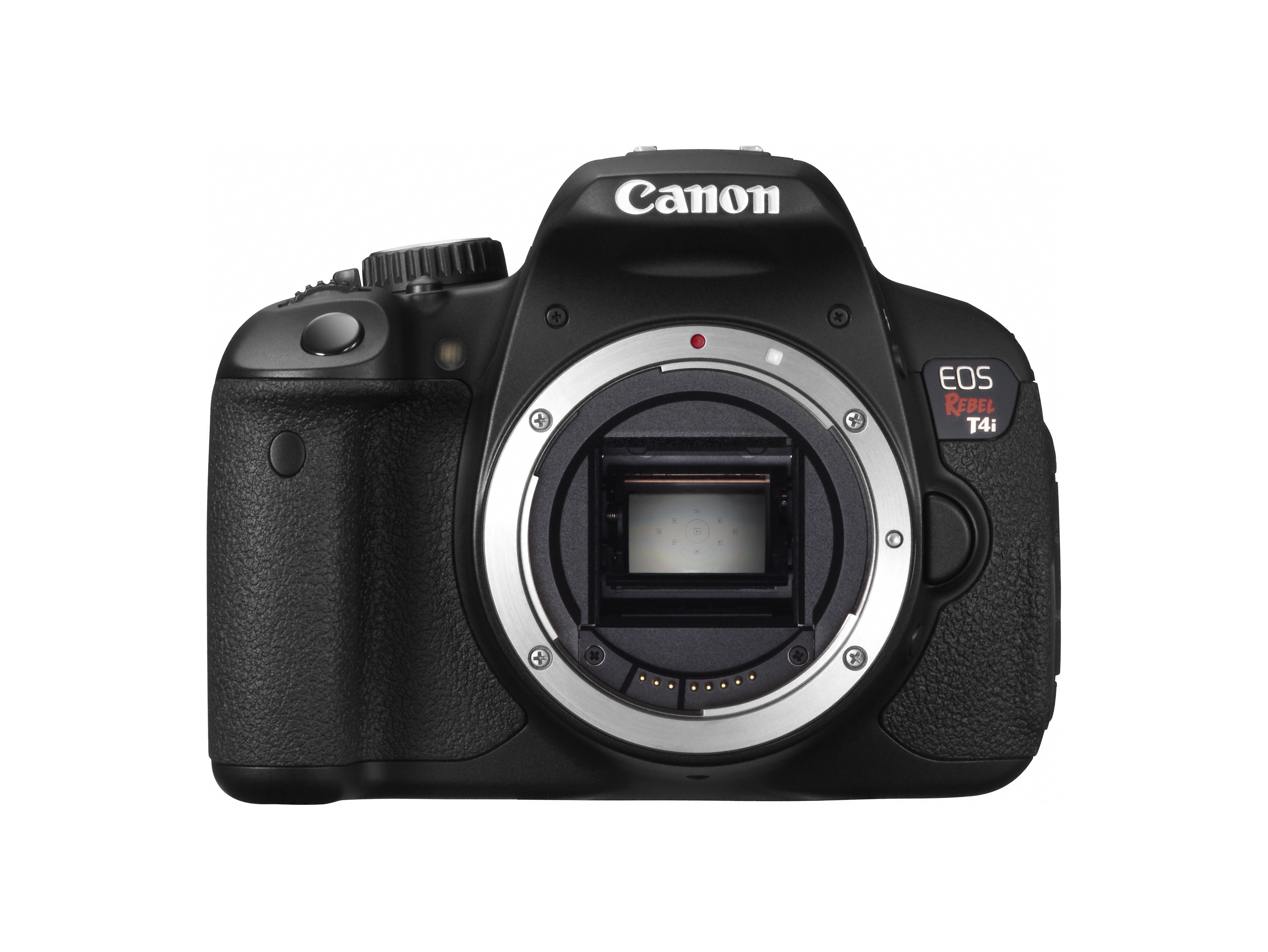 mastering canon eos flash photography pdf