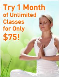 dahn yoga classes, dahn yoga exercises, dahn yoga celebrates
