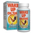 Rise-n-Shine's New Pill May Replace the Morning Alarm Clock