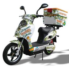 electric bike for food delivery