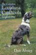 New Guide to Louisiana Catahoula Leopard Dogs