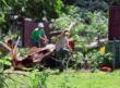 Emergency Tree Removal and Tree Damage from Summer Storms can be Prevented with 5 Tips from Giroud Tree and Lawn
