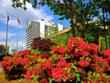 The Chancellor Hotel Announces Grand Opening