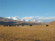 Songtsan Travel Offers Nomadic Trekking in Tibet