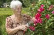 Assisted Living Today Lists Allerton Houses as Top Massachusetts...
