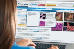 AnatomyOne Helps Faculty Guide Students