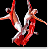 Aerialists