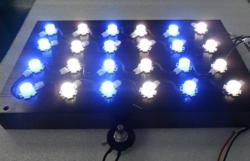 CREE LED Aquarium Light