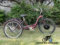 schwinn meridian electric trike