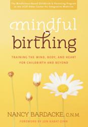 Jacket Image - Mindful Birthing by Nancy Bardacke