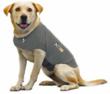 Thundershirt Helps Anxiety-Ridden Pets Prepare for Hurricane Isaac’s...