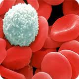 Benzene: severe adverse events threat