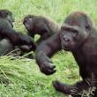 Sustainable Travel Company Strives to Keep Uganda Costs Low