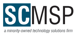 Business and Technology Solutions, Business Development as a Service, Human Capital Solutions