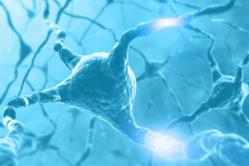 Sleep affects memory recall