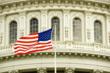 Are Lyme Disease Sufferers Finally Being Heard? Congressional Staffer...