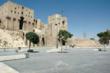 Syrian Expatriates Thanks the UNESCO for its Call to Protect the World...