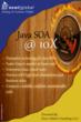 Newt Global Holds Java SOA Seminar on their New SOA Development...