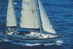 Sailing bout on the Italian Coast
