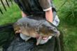 Good News For Anglers As Met Office Predicts Jet Stream Relocation...